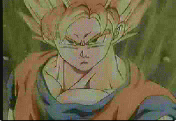 hgoku.gif